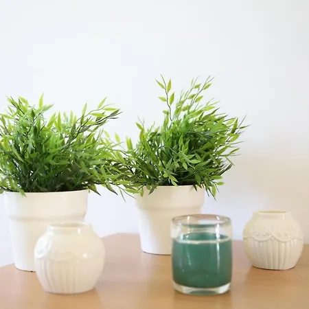 Dolci Paesaggi * 玛劳萨